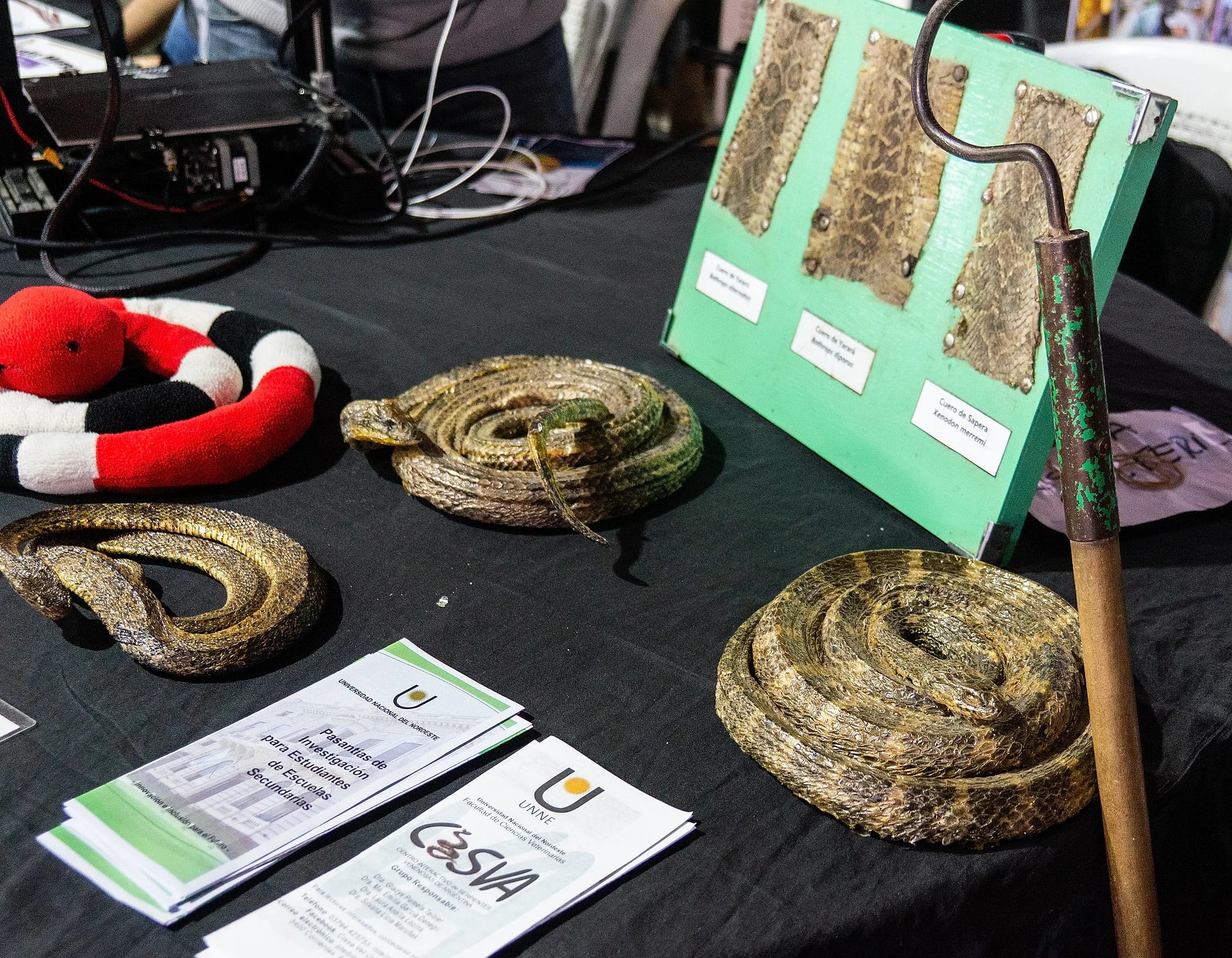 Stand de la Feria del Conocimiento 2026 — 4